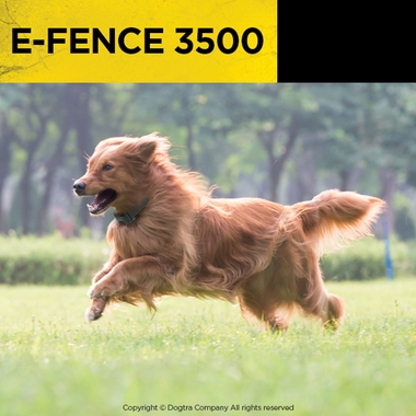 DOGTRA-EFENCE-3500-WRDFNCE-CLLR-CONTMNT-SYSTM-40ACR