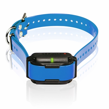DOGTRA-EDGE-RT-RECEIVER-BLUE