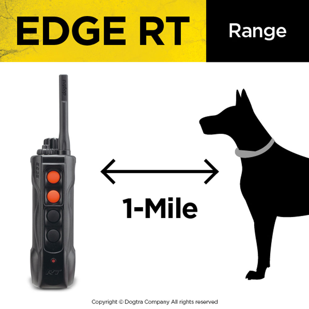 DOGTRA-EDGE-RT-REMOTE-TRAINER