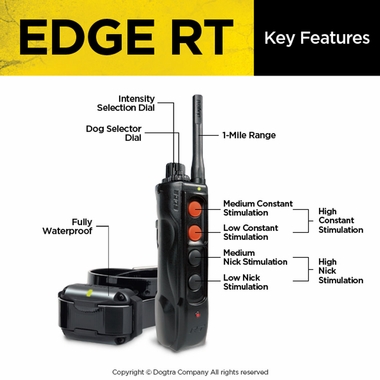 DOGTRA-EDGE-RT-REMOTE-TRAINER