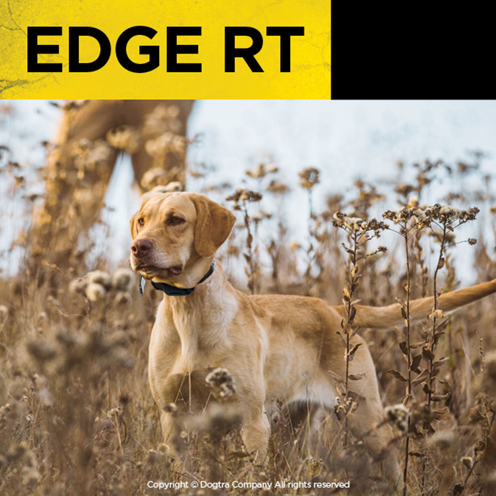 DOGTRA-EDGE-RT-REMOTE-TRAINER