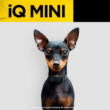 DOGTRA-IQMINI-ECOLLAR-REMOTE-TRNG-SYSTM-400YRD-1DOG