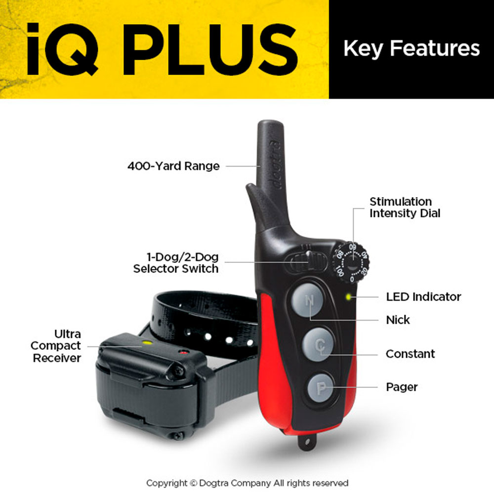 DOGTRA-IQ-PLUS