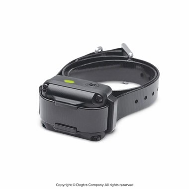 DOGTRA-IQ-VIBE-NOBARK-COLLARS-UP-TO-10LBS-DOG
