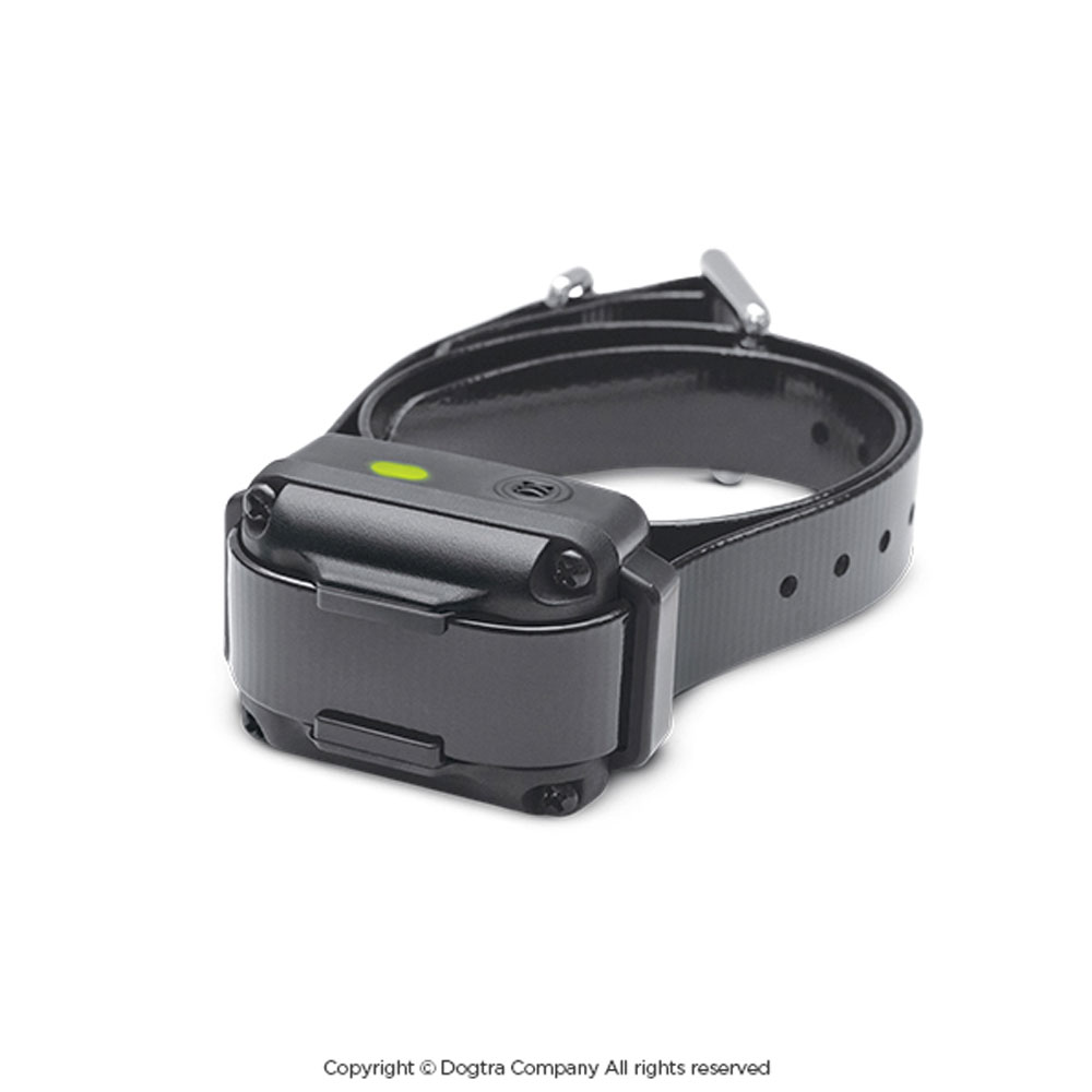 DOGTRA-IQ-VIBE-NOBARK-COLLARS-UP-TO-10LBS-DOG