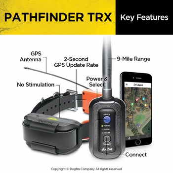 Dogtra Pathfinder TRX Additional GPS-Only Collar 9 Miles | On Sale