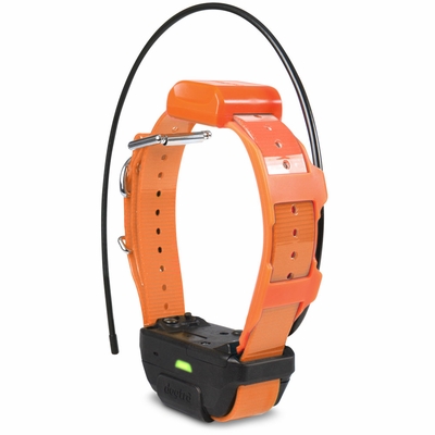 DOGTRA-PATHFINDER-TRX-ADDTL-RECEIVER-9ML-ORG