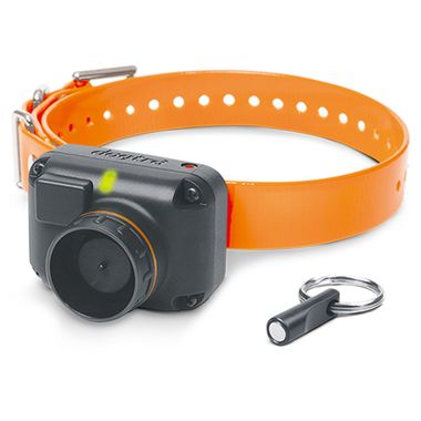 DOGTRA-STB-TRNG--BEEPER-COLLAR-SYSTM-BEEPER-VERSION