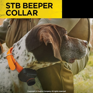 DOGTRA-STB-TRNG--BEEPER-COLLAR-SYSTM-BEEPER-VERSION
