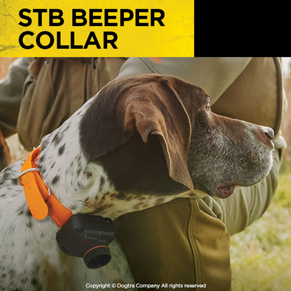 DOGTRA-STB-TRNG--BEEPER-COLLAR-SYSTM-BEEPER-VERSION