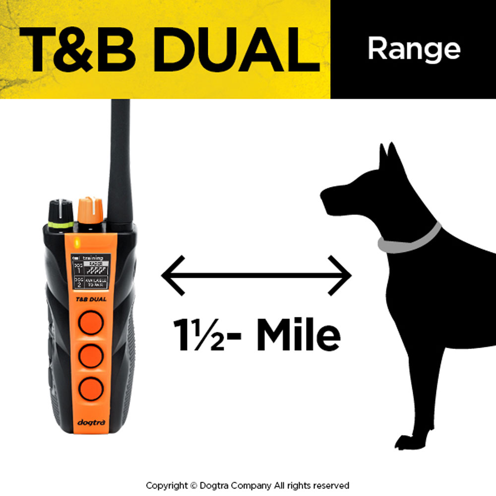 DOGTRA-TB-DUAL-TRNG-BEEPER-COLLAR-SYSTM-1-1-2ML-1DOG