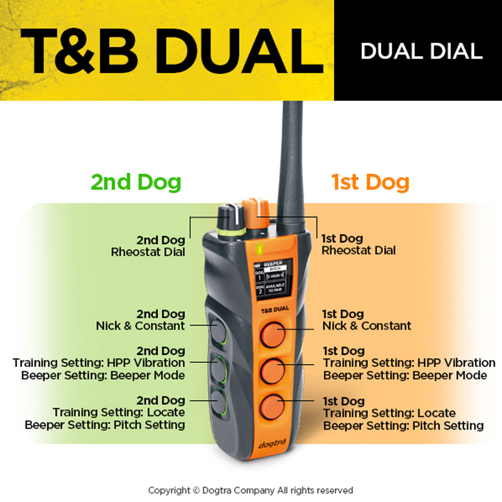 DOGTRA-TB-DUAL-TRNG-BEEPER-COLLAR-SYSTM-1-1-2ML-2DOG
