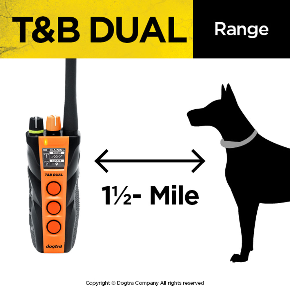 DOGTRA-TB-DUAL-TRNG-BEEPER-COLLAR-SYSTM-1-1-2ML-2DOG