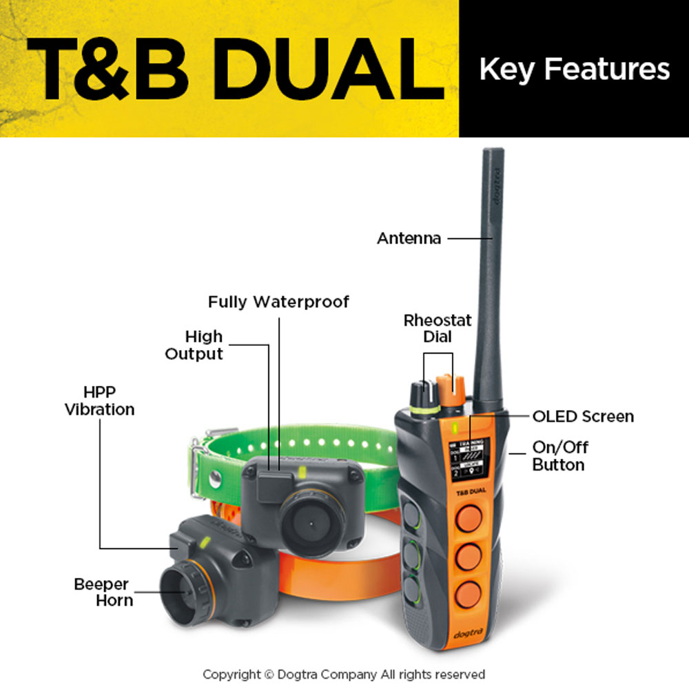 DOGTRA-TB-DUAL-TRNG-BEEPER-COLLAR-SYSTM-1-1-2ML-2DOG