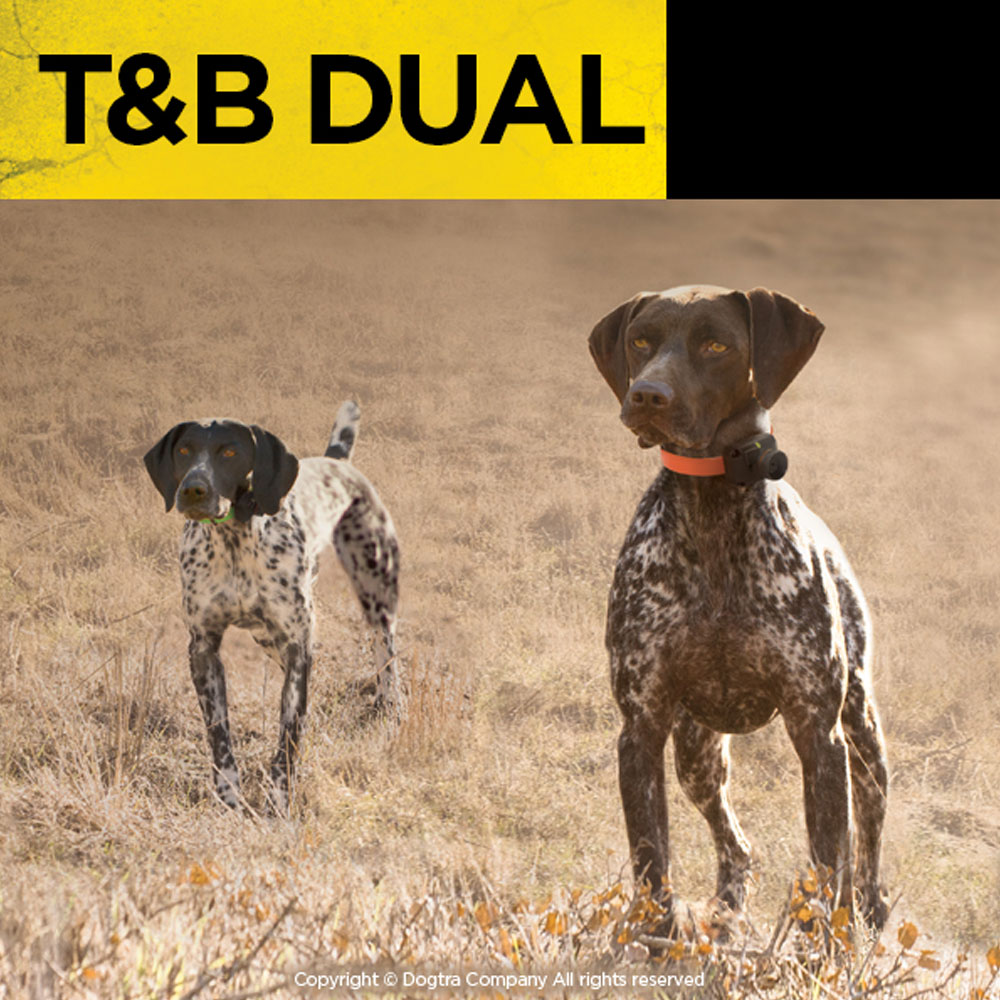 DOGTRA-TB-DUAL-TRNG-BEEPER-COLLAR-SYSTM-1-1-2ML-2DOG