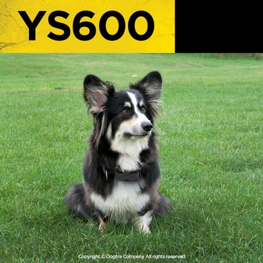 DOGTRA-YS600-NO-BARK-COLLARS