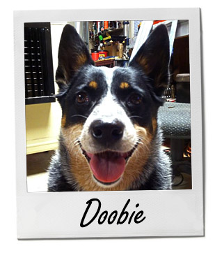 Doobie 1/13/14