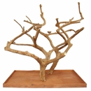 Double Java Wood Tree - Large (73"x36"x66") Double Java Wood Tree - Large (73"x36"x66")