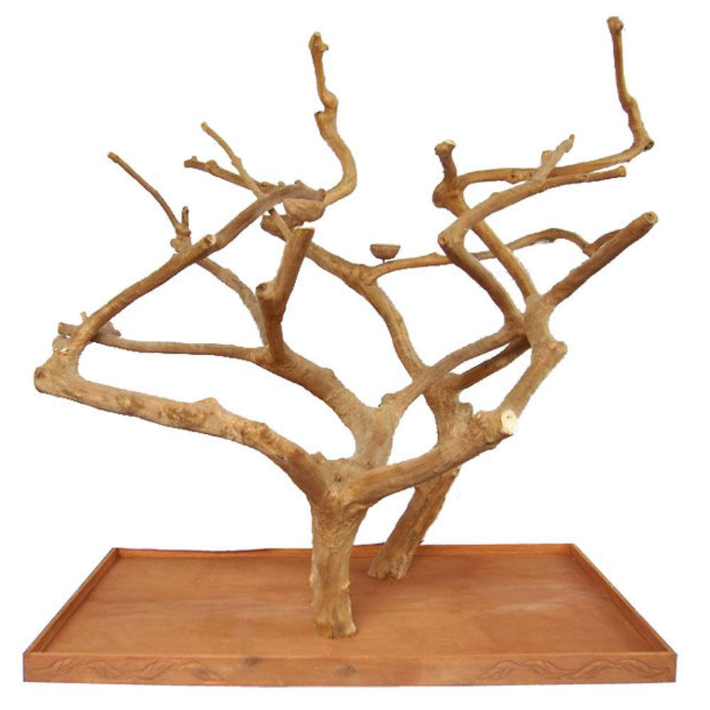 LARGE-DOUBLE-JAVA-TREE-73X36X66