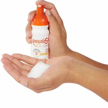 DOUXO-ANTISEPTIC-CHLORHEXIDINE-CLIMBAZOLE-MOUSSE