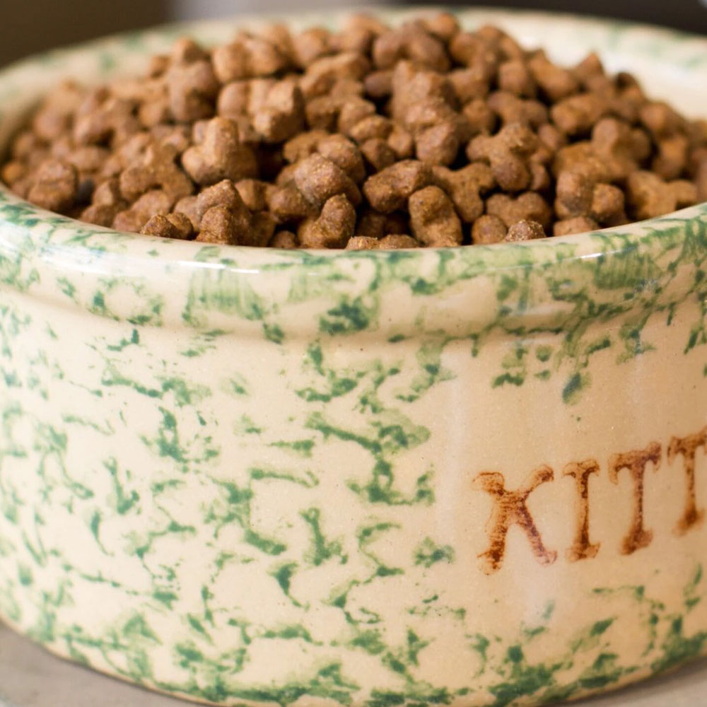 Dr. Gary's Best Breed Holistic All Life Stages Dry Cat Food, 12lb bag