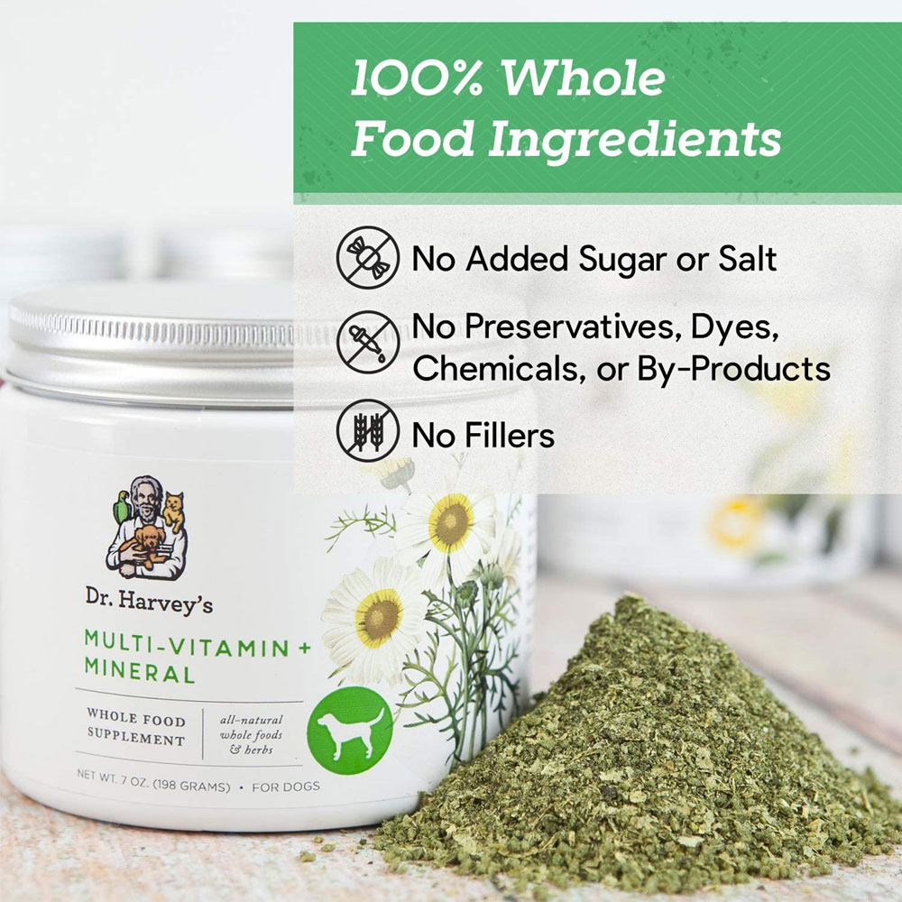 Dr. Harvey's Multivitamin & Mineral Herbal Supplement for Dogs (7 oz