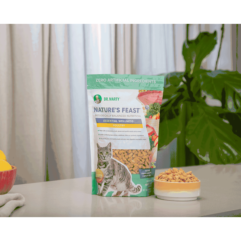 DR-MARTY-NTURES-FEAST-ESSNTIAL-WLLNSS-FISH-POUTRY-CAT-FD-12OZ