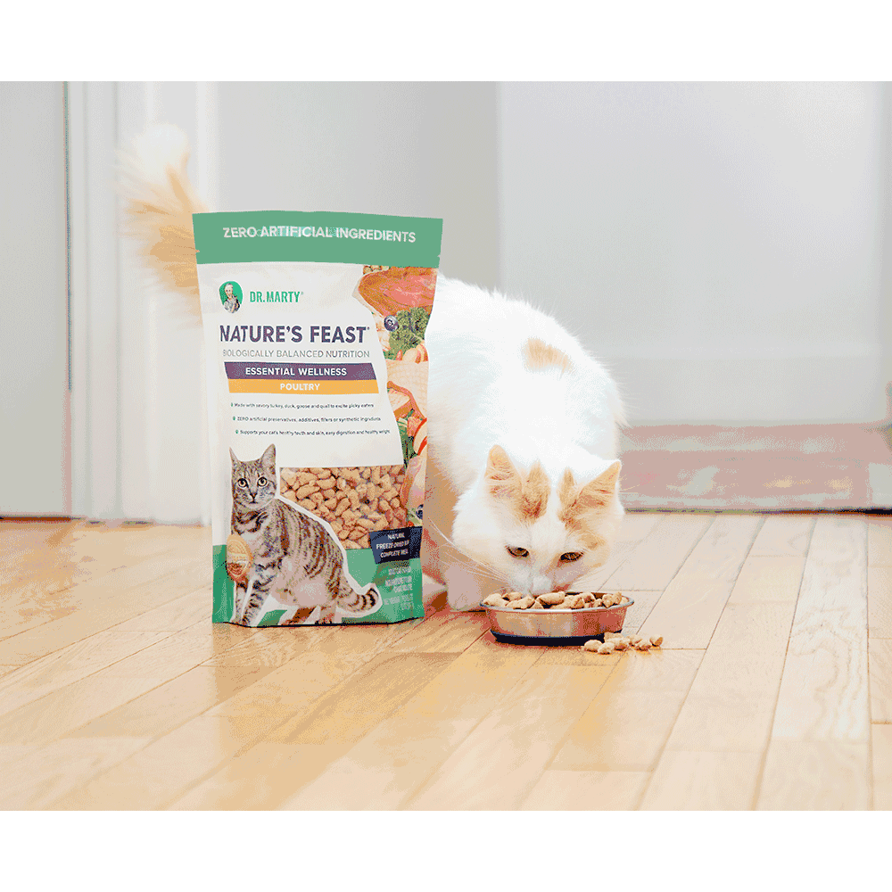 DR-MARTY-NTURES-FEAST-ESSNTIAL-WLLNSS-FISH-POUTRY-CAT-FD-12OZ