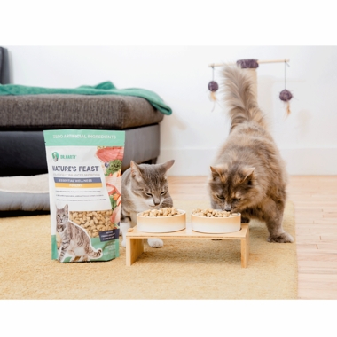 DR-MARTY-NTURES-FEAST-ESSNTIAL-WLLNSS-FISH-POUTRY-CAT-FD-12OZ