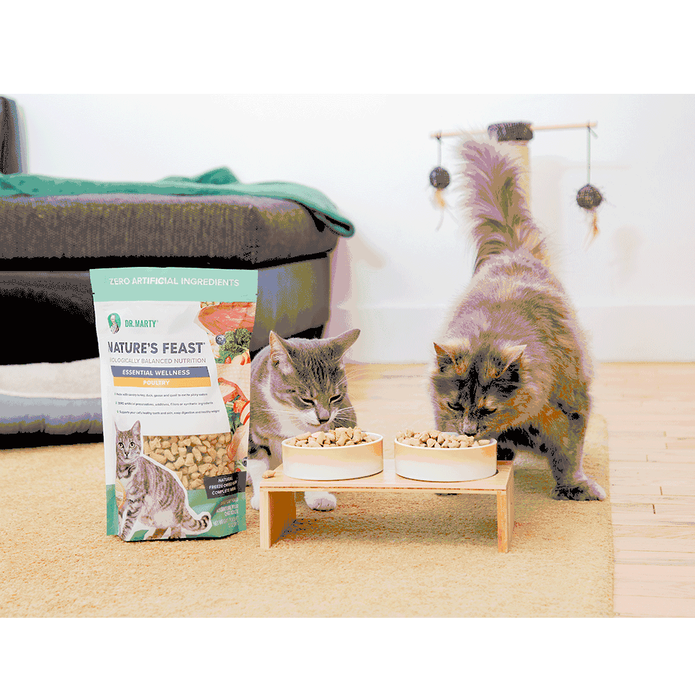 DR-MARTY-NTURES-FEAST-ESSNTIAL-WLLNSS-FISH-POUTRY-CAT-FD-12OZ