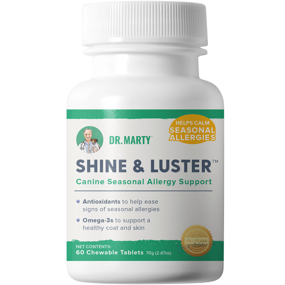 DR-MARTY-SHINE-LUSTER-30-TABLETS