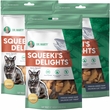 Dr. Marty Squeeki's Delights Freeze-Dried Raw Salmon Cat Treat, 12-oz