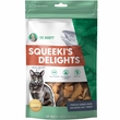 Dr. Marty Squeeki's Delights Freeze-Dried Raw Salmon Cat Treat, 4-oz