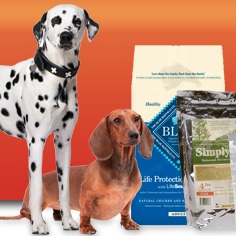 Dry vs Wet Dog Food