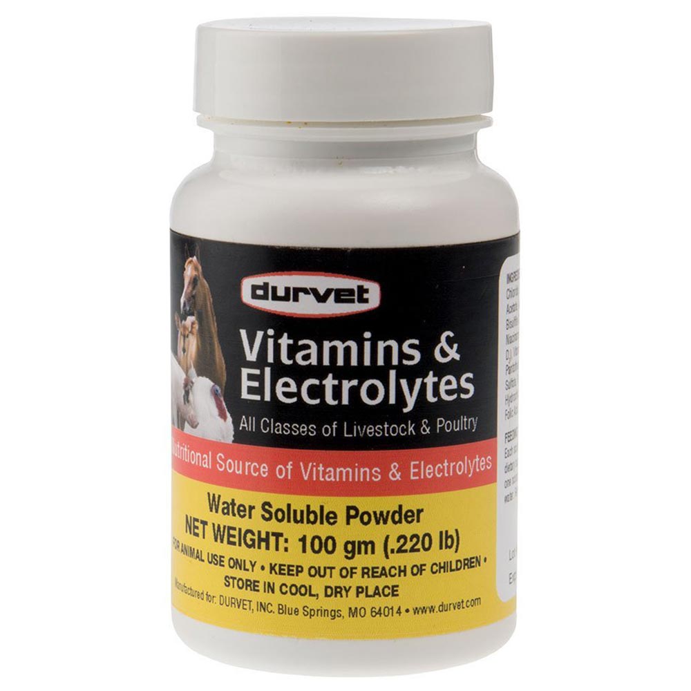 VITAMINS-ELECTROLYTES-100GM