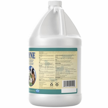 DYNE-HIGH-CALORIE-LIQUID-FOR-LIVESTOCK-GALLON