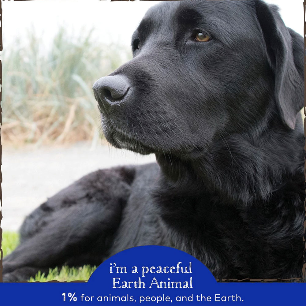 Earth Animal Allergy & Skin Liquid Allergy Supplement for Dogs & Cats