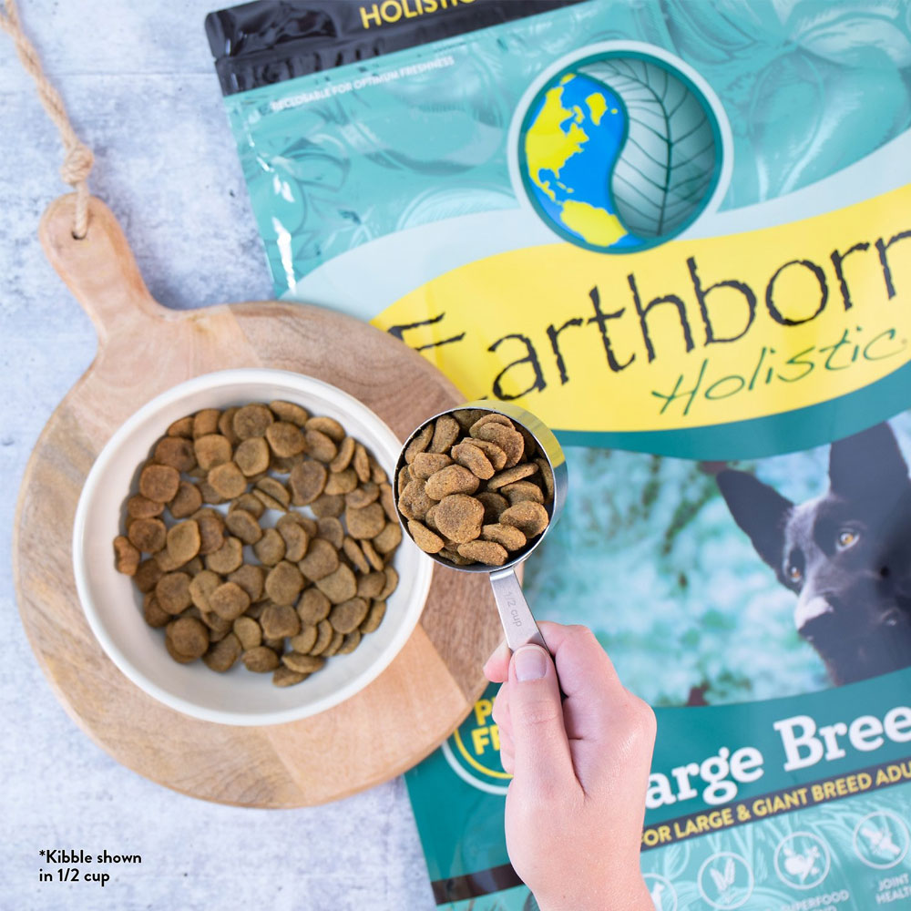 Earthborn Holistic Large Breed Dry Dog Food (25 lb) On Sale