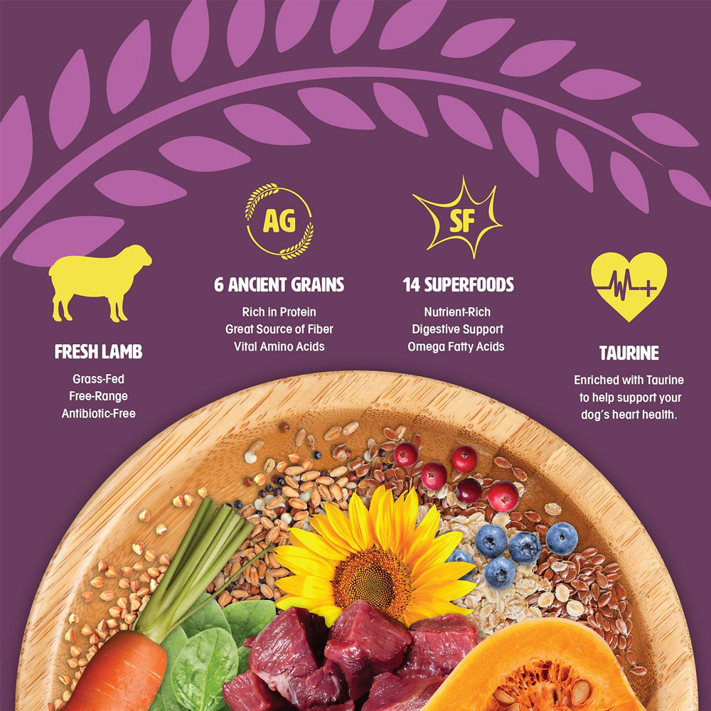 Earthborn Holistic Unrefined Roasted Lamb with Ancient Grains