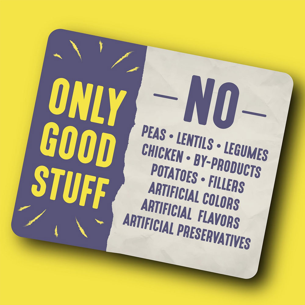 Earthborn Holistic Unrefined Smoked Salmon with Ancient Grains