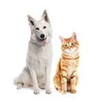 EntirelyPets Charity Program