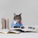 EntirelyPets.com Legal Disclaimer