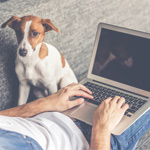 EntirelyPets.com Affiliate Program