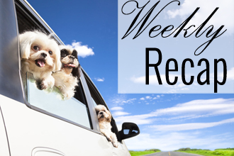 EntirelyPets Weekly Recap  (5/12-16/14)