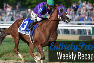 EntirelyPets Weekly Recap (June 2-6, 2014)