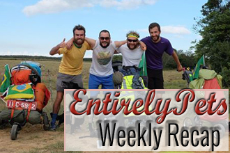 EntirelyPets Weekly Recap (June 9-13, 2014)
