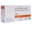 Equine Potomavac Ehrlichia Risticii Bacterin Vaccine, 10mL