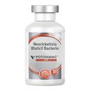 Equine Potomavac Neorickettsia Risticii Bacterin - 1mL (1 Dose)