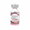 Equine Potomavac + Imrab Vaccine, Killed Virus, 1mL