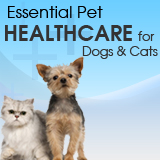 Essential Pet Healthcare for Dogs & Cats